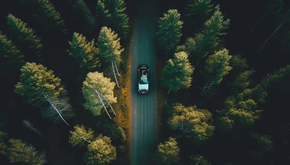 car-rides-road-among-forest-top-view
